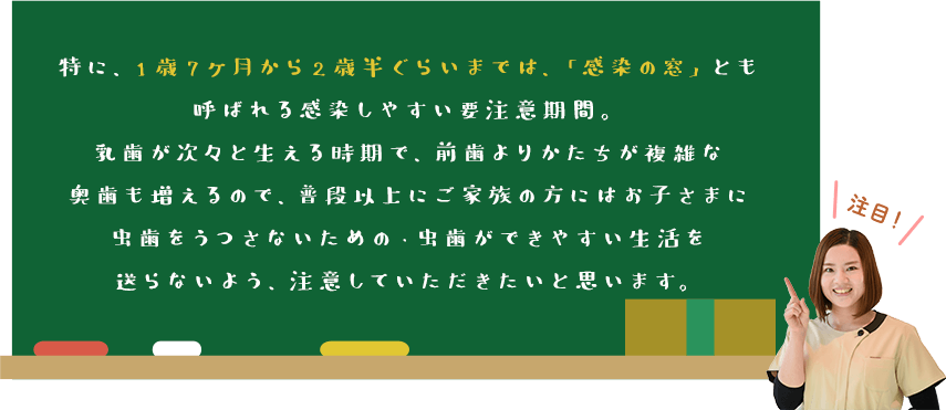 特に、1歳7ヶ月から2歳半ぐらいまでは、「感染の窓」とも呼ばれる感染しやすい要注意期間。乳⻭が次々と生える時期で、前⻭よりかたちが複雑な奥⻭も増えるので、普段以上にご家族の方にはお子さまに虫⻭をうつさないための・虫⻭ができやすい生活を送らないよう、注意していただきたいと思います。